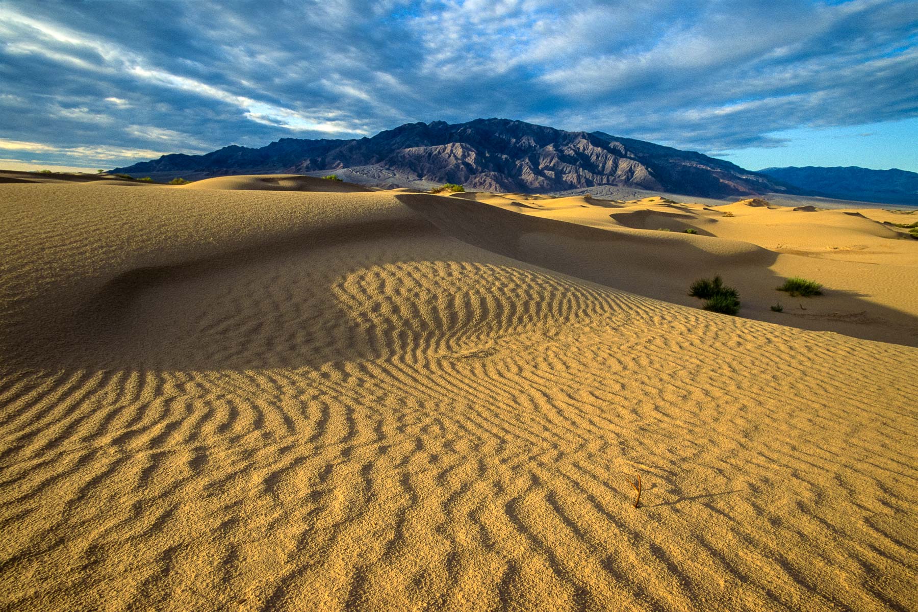 JohnMacLean_1991_Death_Valley_dunes_PF
