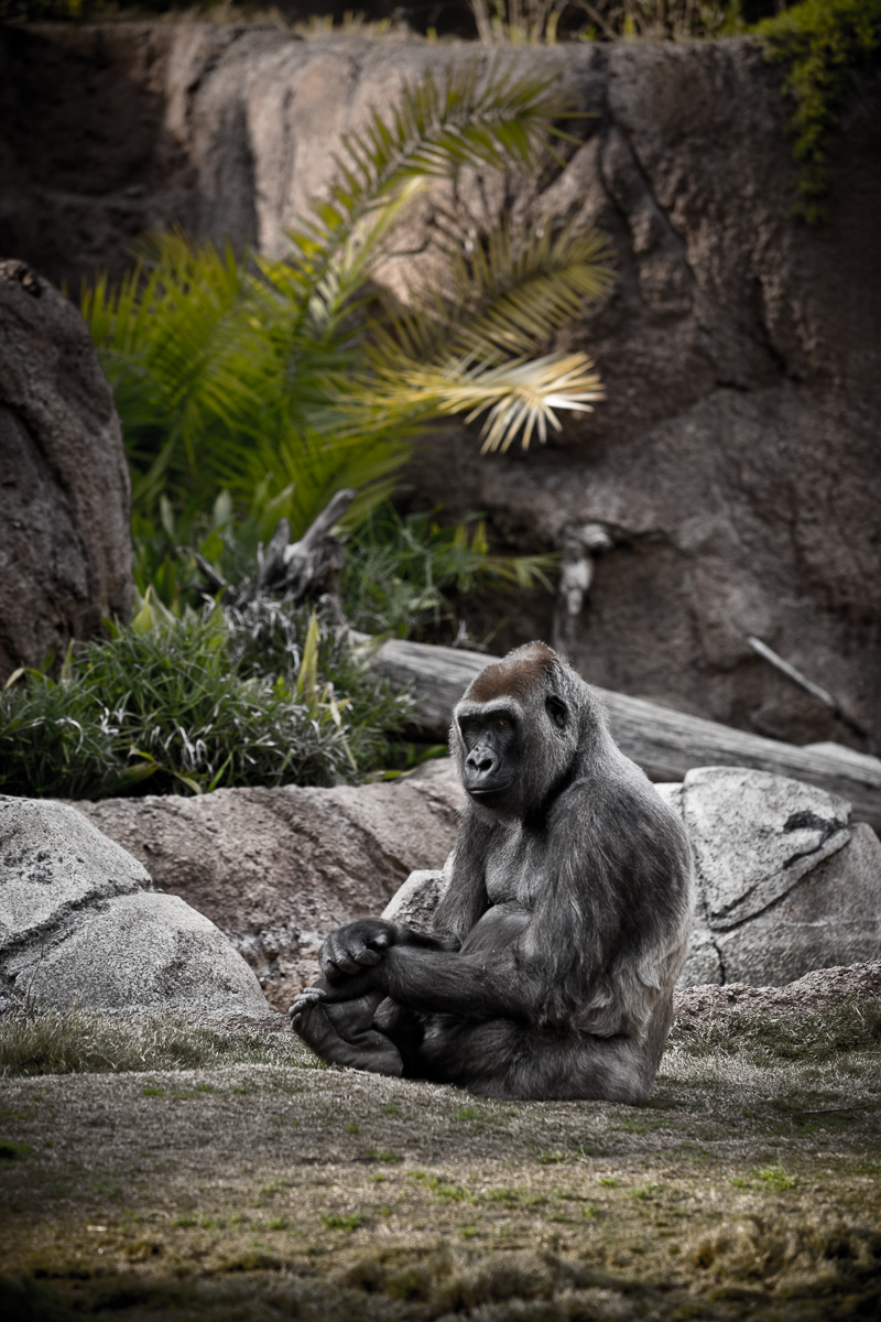 JohnMacLean_20100202_9720_PF