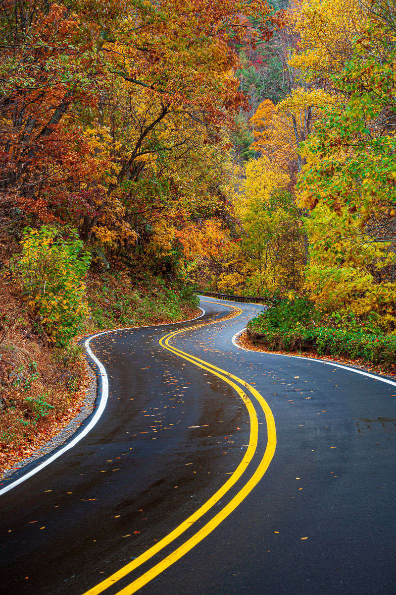 JohnMacLean_20121028_1312_PF-2