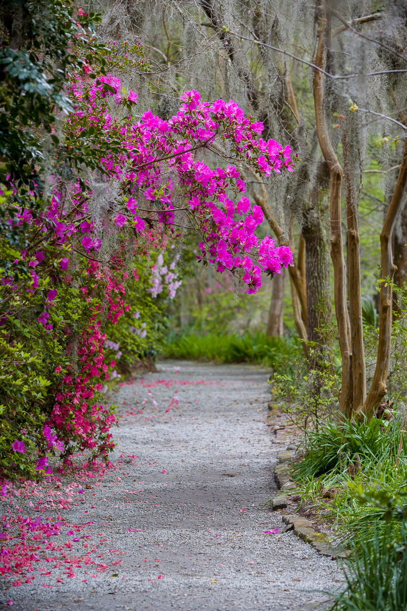 JohnMacLean_20130405_3566_PF