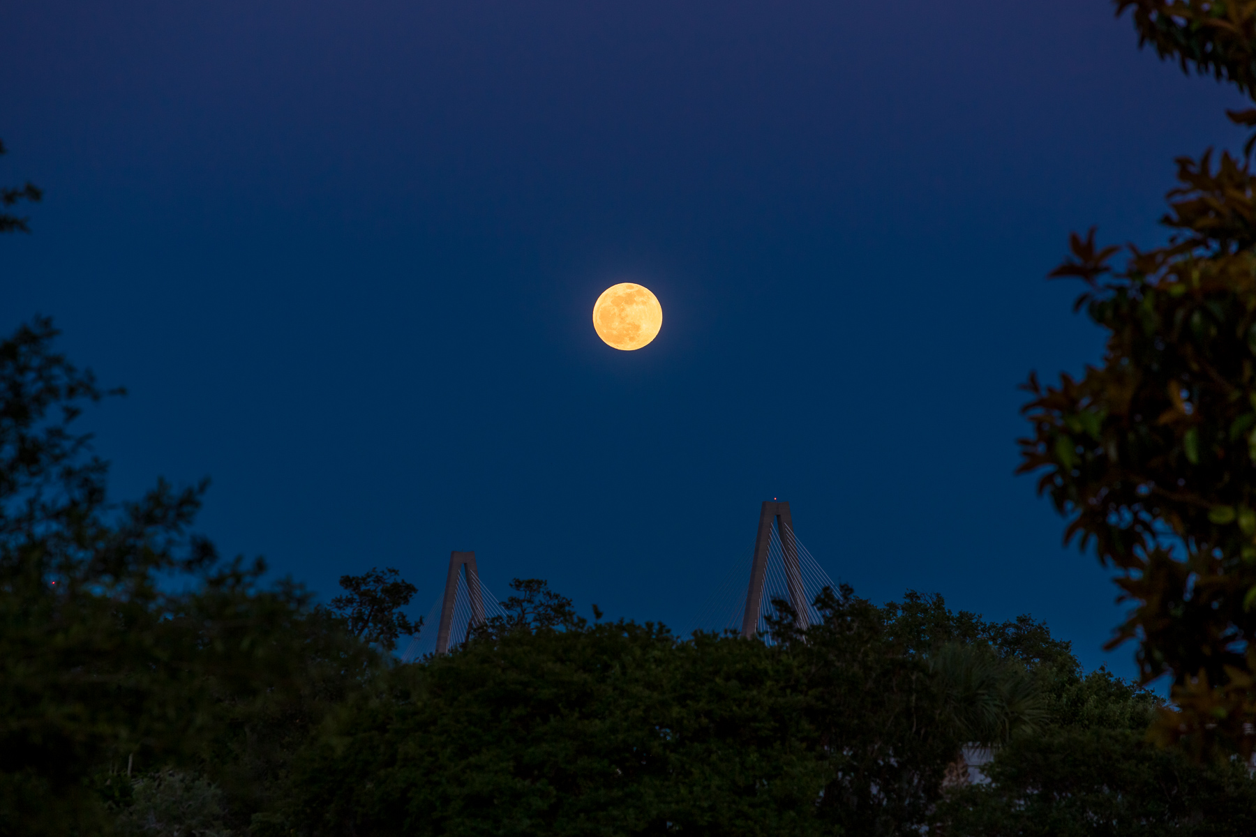 JohnMacLean_20130524_4679_PF