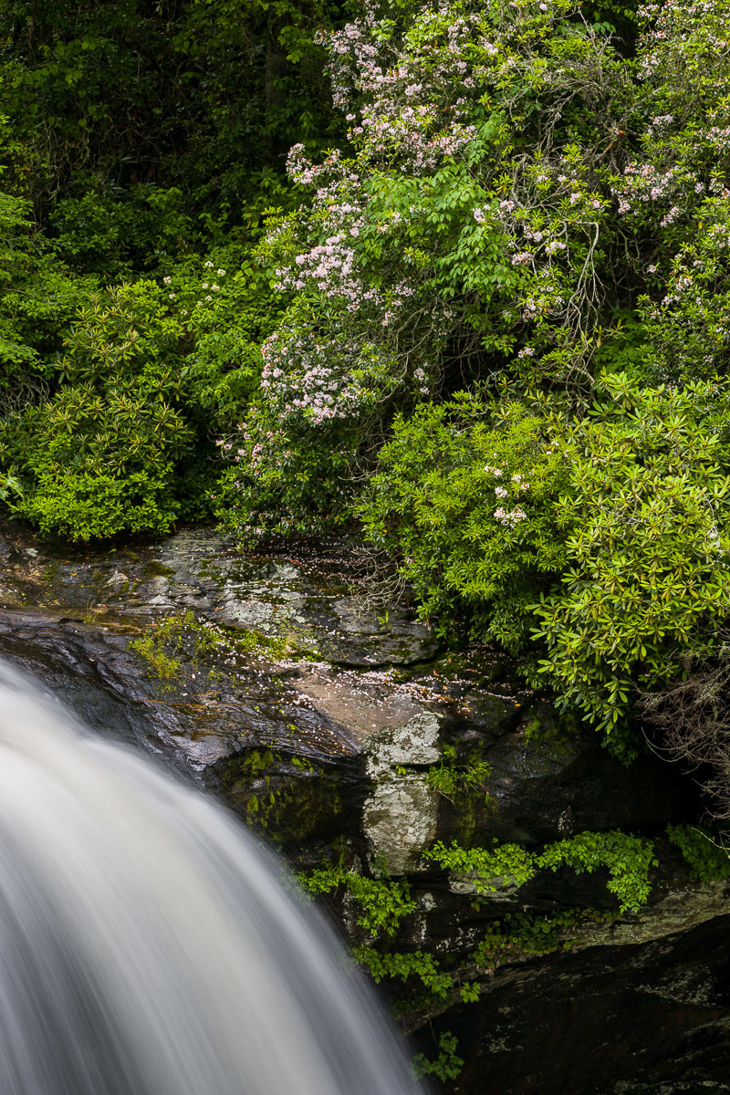 JohnMacLean_20130617_4991_PF
