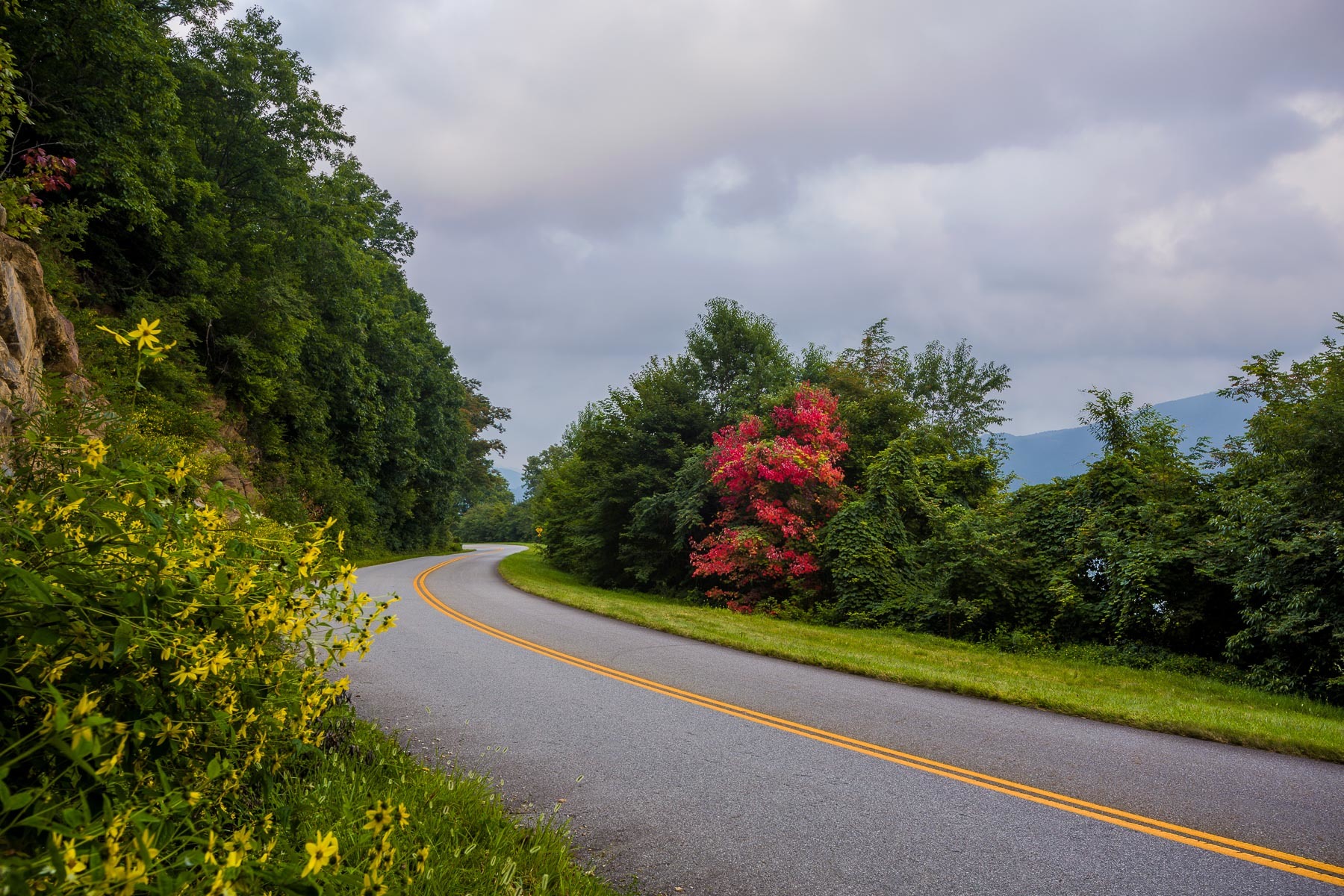 JohnMacLean_20130830_JMP_6403-Edit_PF