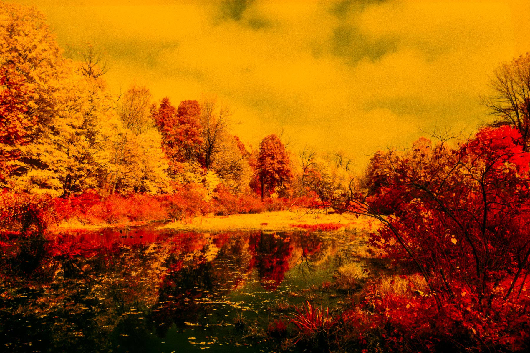 JohnMacLean_20131029_Seeleys_Pond_IR-2