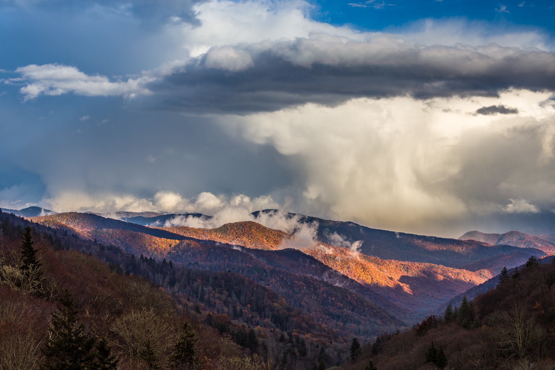 Light after the Storm