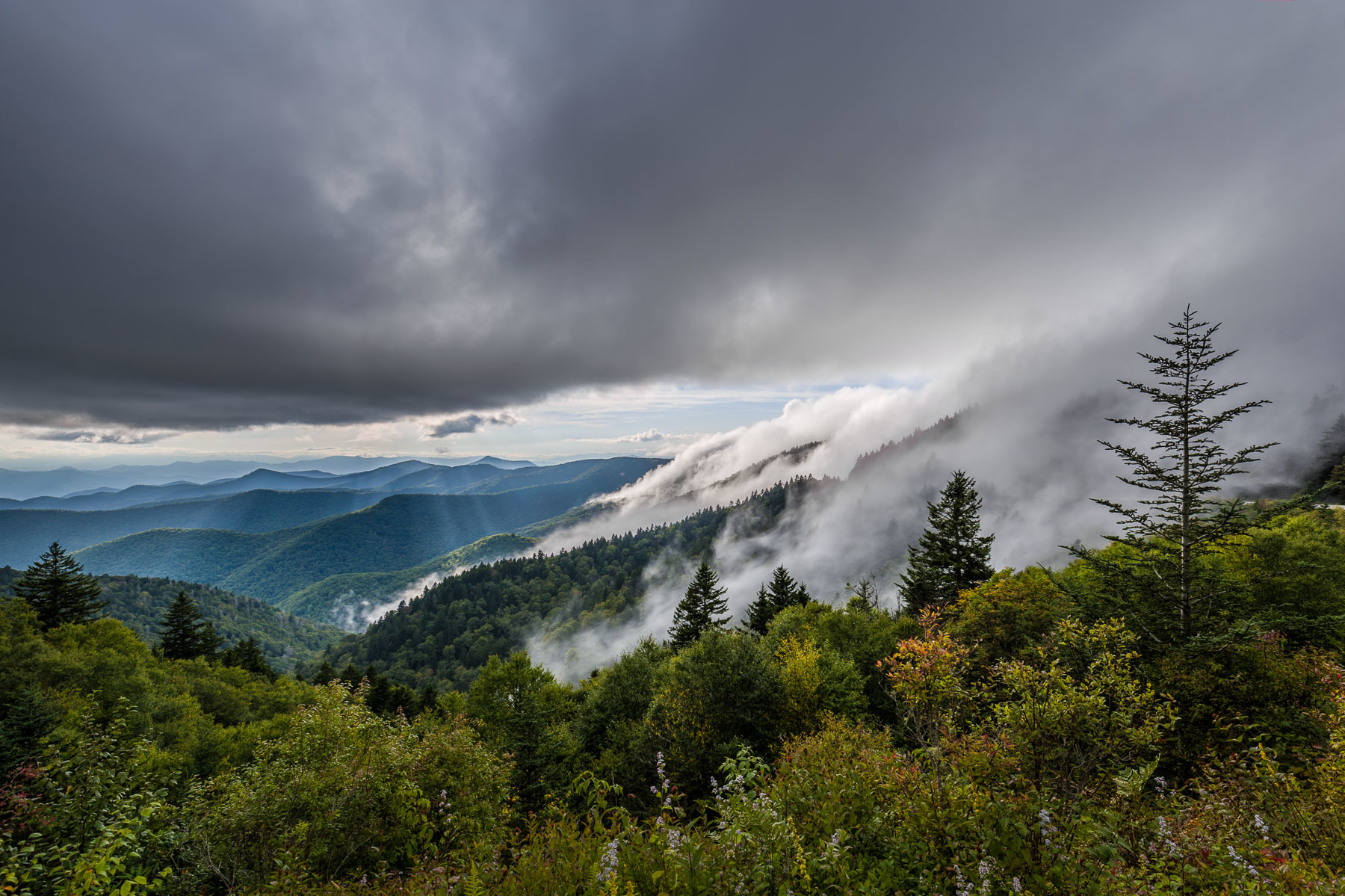 The Descending Cloud
