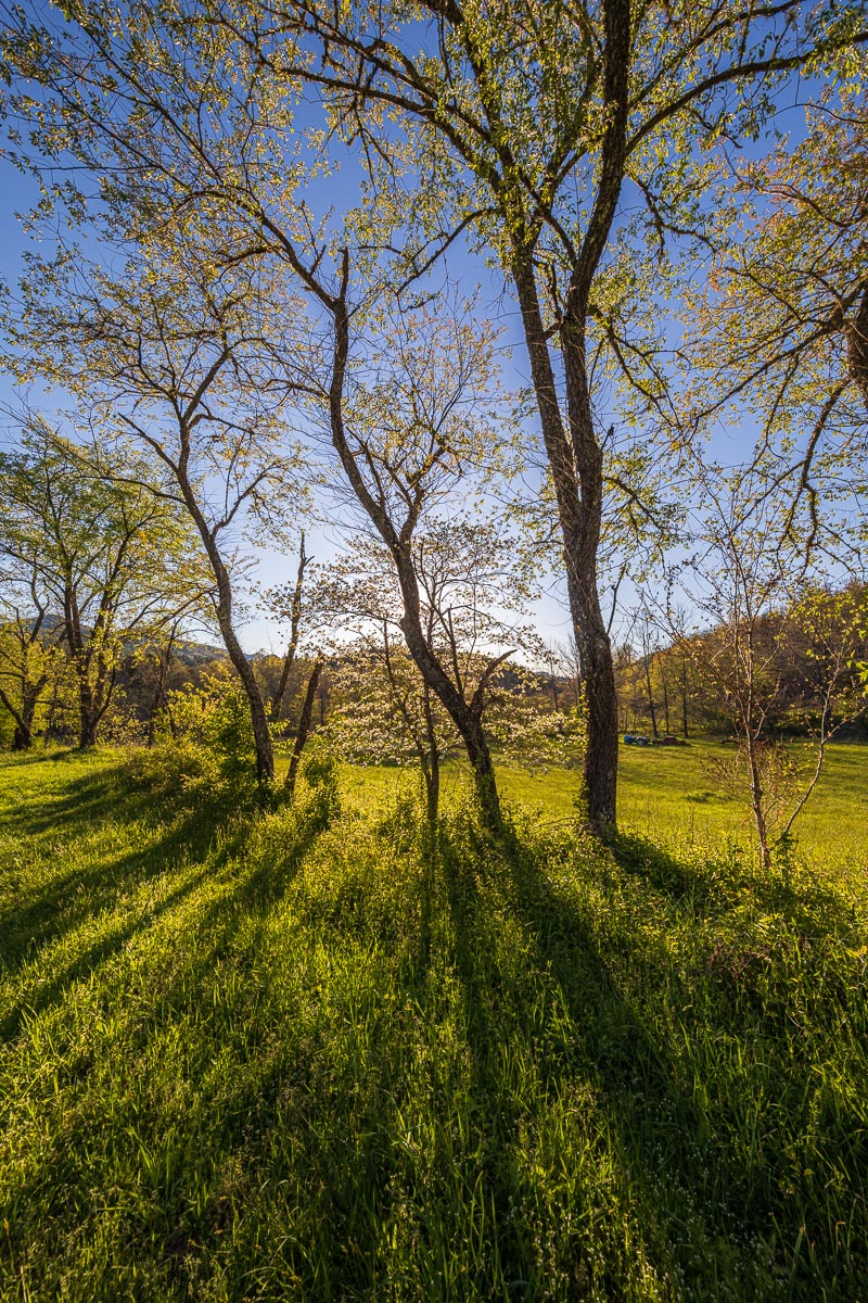 JohnMacLean_20200418_6987-HDR_PF