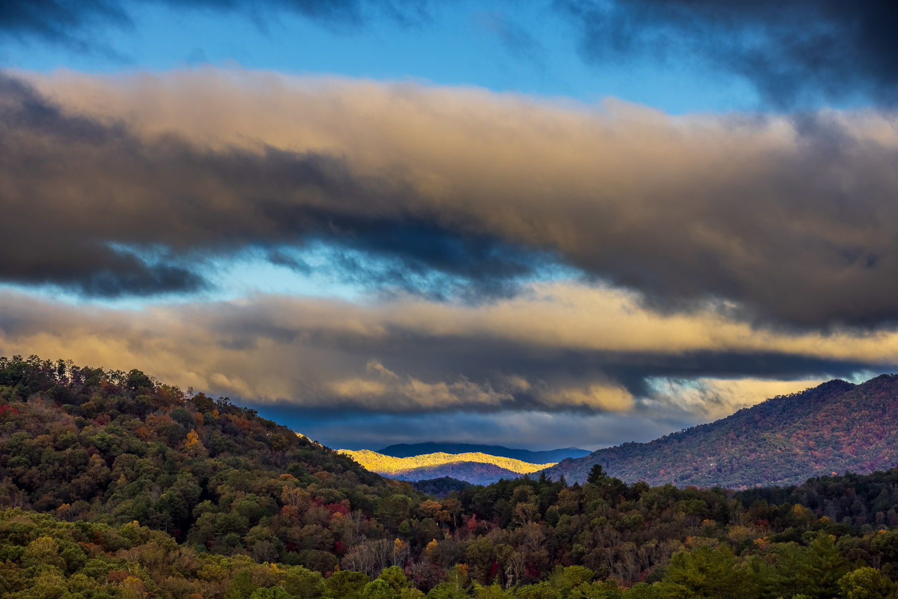 JohnMacLean_20211026_3512_PF-2