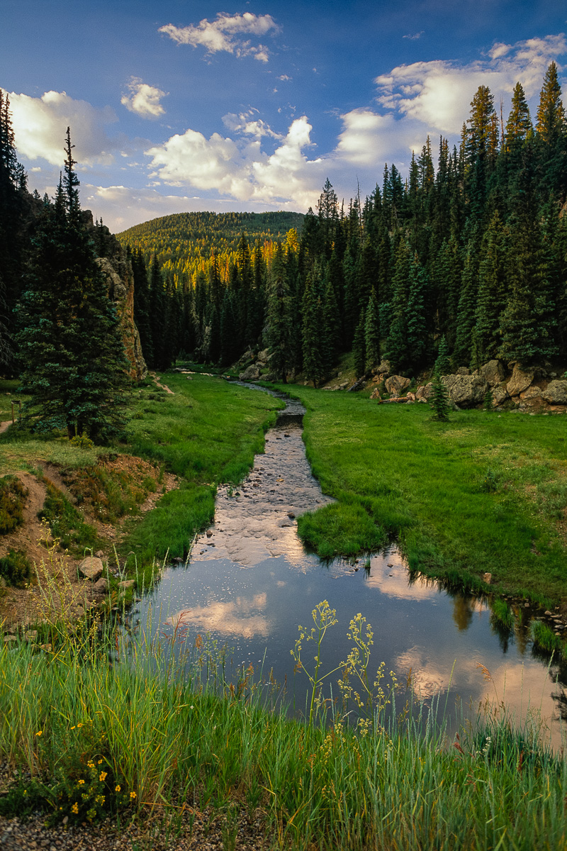 JohnMacLean_Jemez_stream_PF